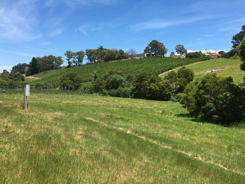 Lot 101 Swamp Road, Lenswood SA 5240