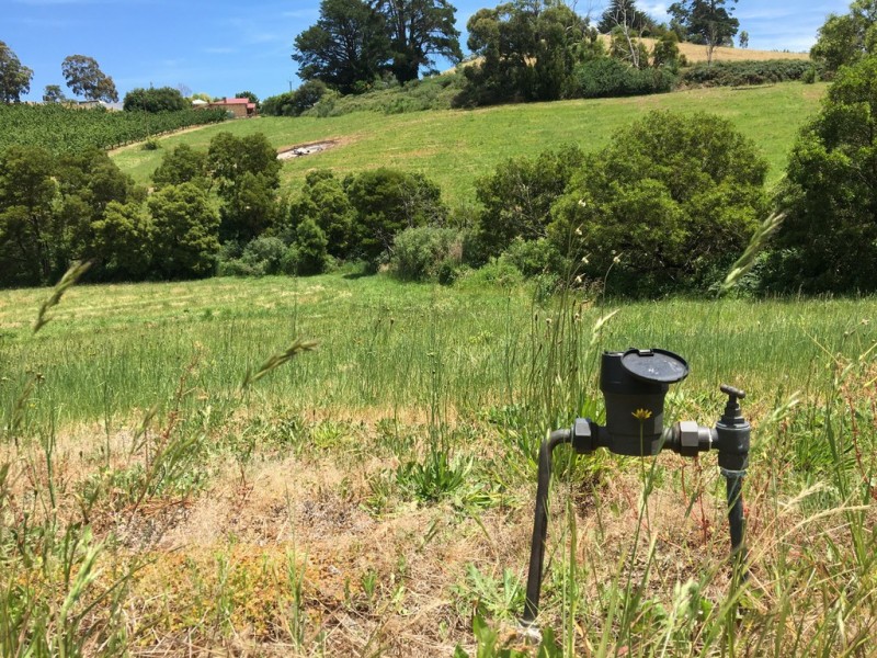 Lot 101 Swamp Road, Lenswood SA 5240