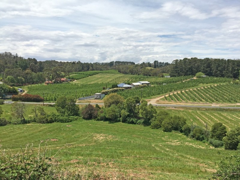 Lot 101 Swamp Road, Lenswood SA 5240