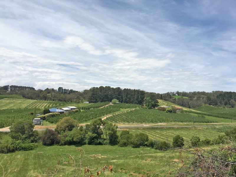 Lot 101 Swamp Road, Lenswood SA 5240