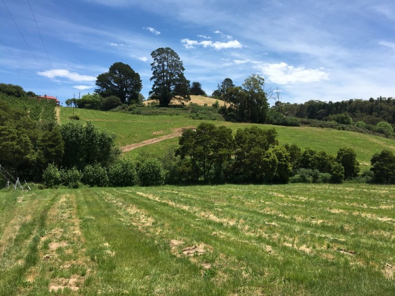 Lot 101 Swamp Road, Lenswood SA 5240