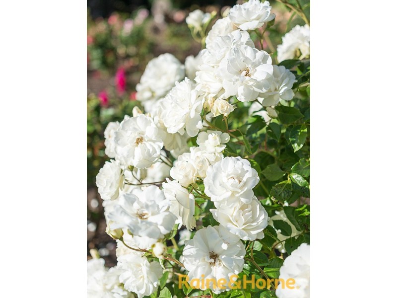 29F Leonard Road, Hahndorf SA 5245