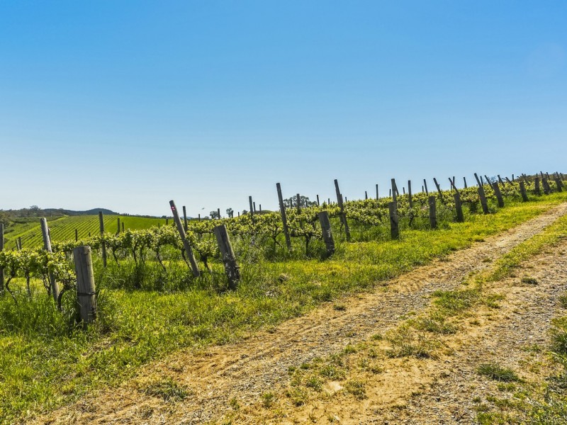 589 Cudlee Creek Road, Lobethal SA 5241