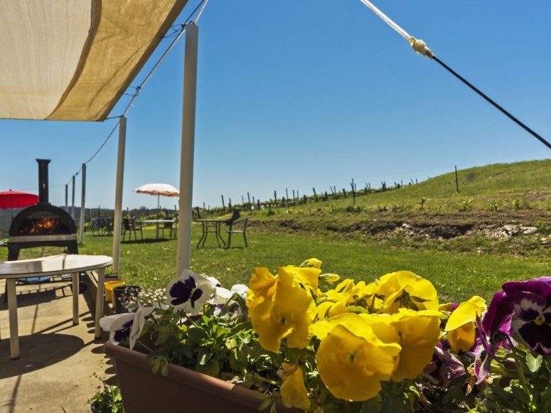 589 Cudlee Creek Road, Lobethal SA 5241