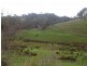 233 Hill Road, Forreston SA 5233