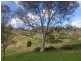 233 Hill Road, Forreston SA 5233