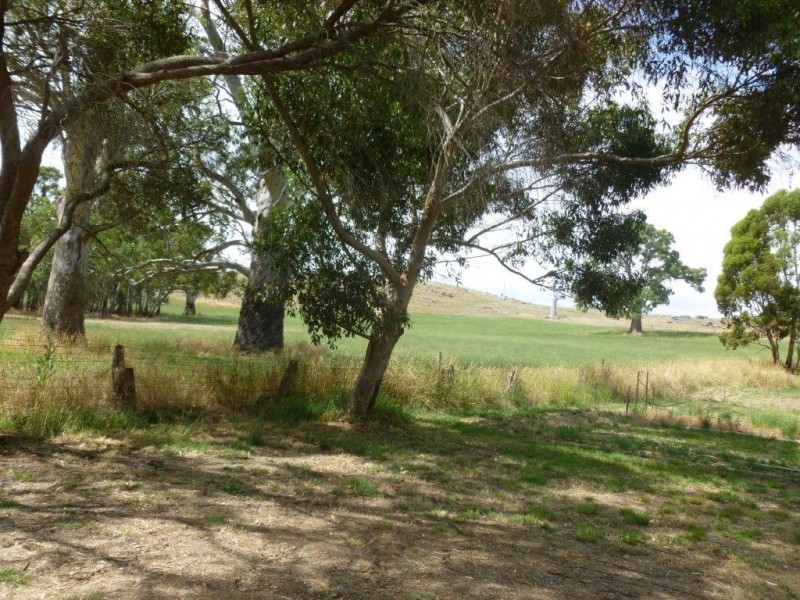 54 Miller Street, Springton SA 5235