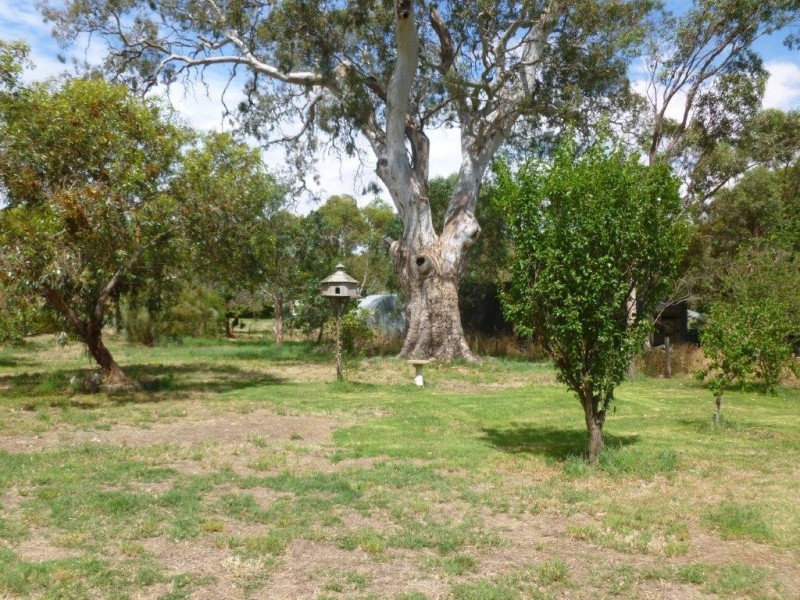 54 Miller Street, Springton SA 5235