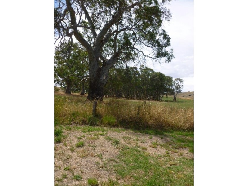 54 Miller Street, Springton SA 5235