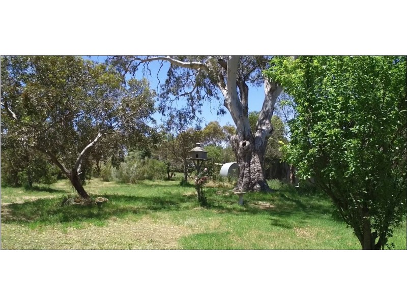 54 Miller Street, Springton SA 5235