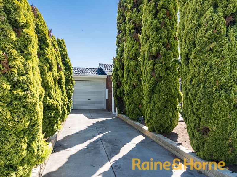 19 Doncaster Avenue, Newton SA 5074