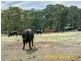 13 Ambulance Road, Verdun SA 5245