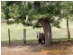 13 Ambulance Road, Verdun SA 5245