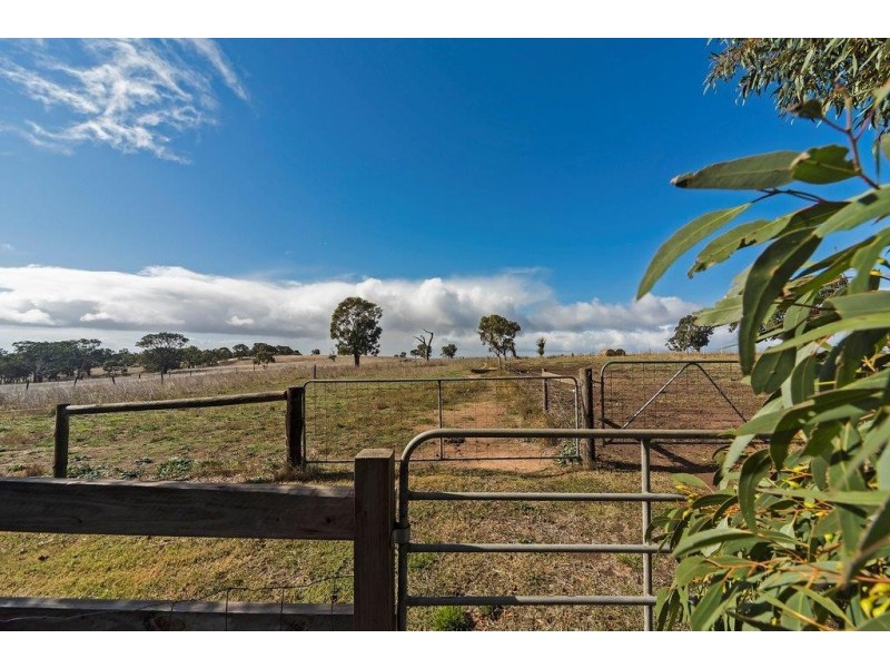 310 Lucas Rd, Mount Pleasant SA 5235