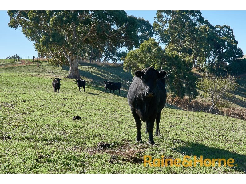 63 Swamp Road, Balhannah SA 5242