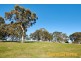 190 Swamp Road, Balhannah SA 5242
