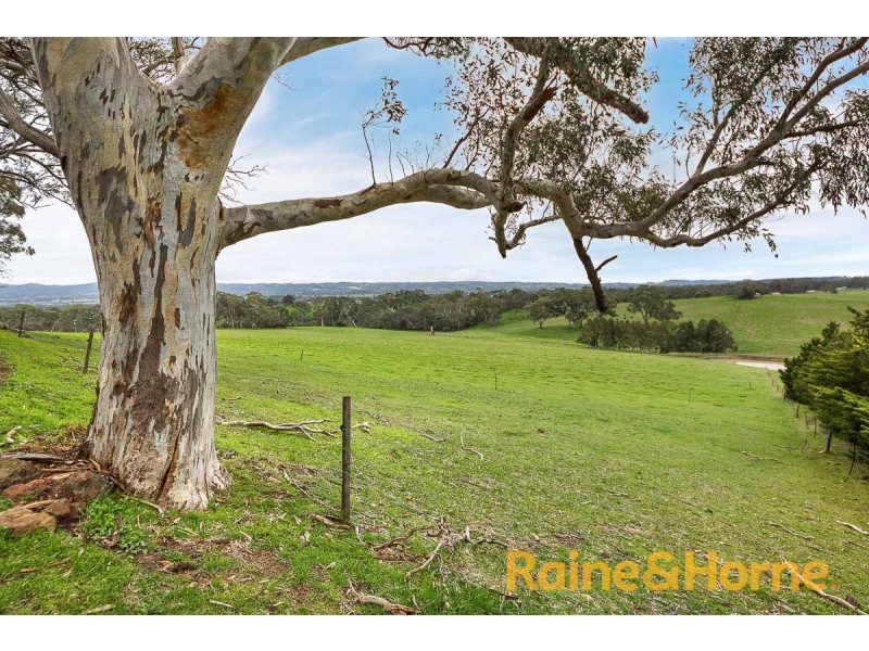 157 Murdoch Hill Road, Woodside SA 5244