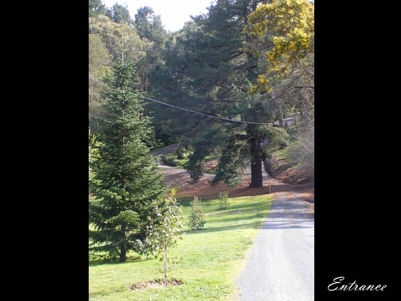 25 Wilpena Terrace, Aldgate SA 5154