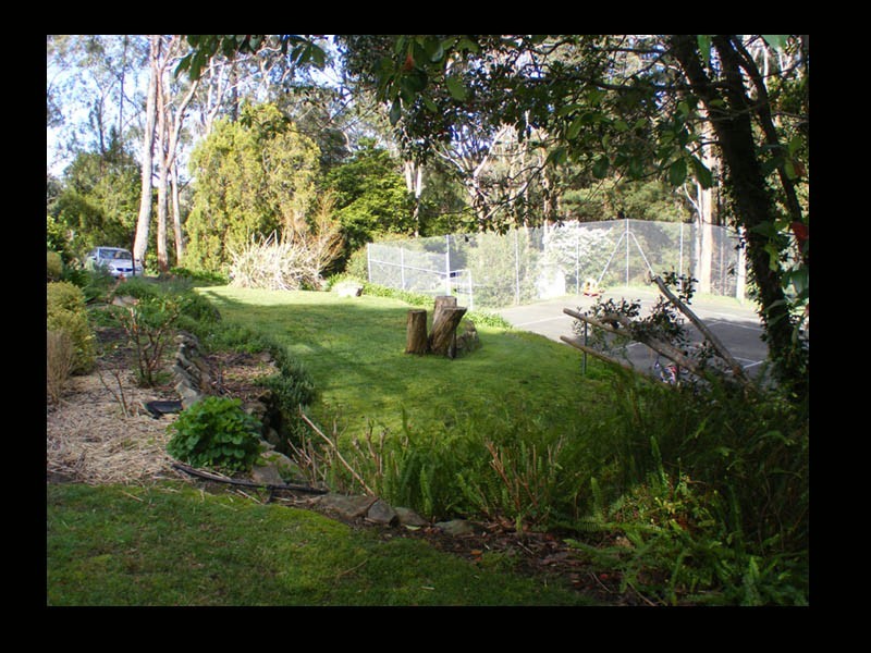 25 Wilpena Terrace, Aldgate SA 5154