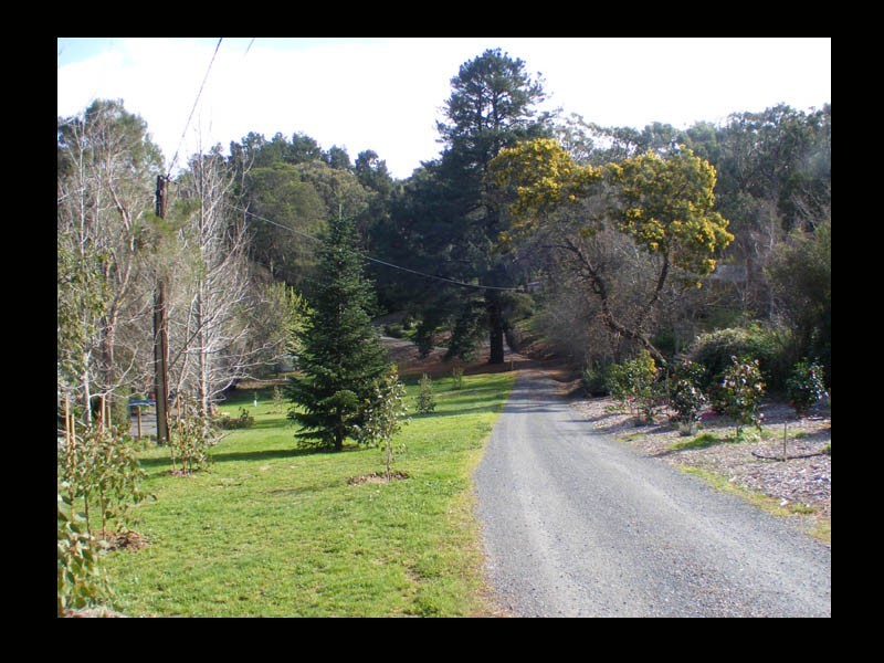 25 Wilpena Terrace, Aldgate SA 5154