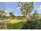 31 William St, Springton SA 5235