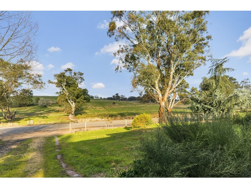 31 William St, Springton SA 5235