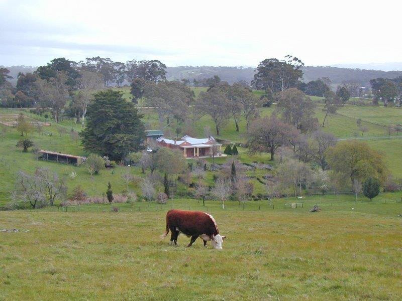17 Martin Road, Hahndorf SA 5245