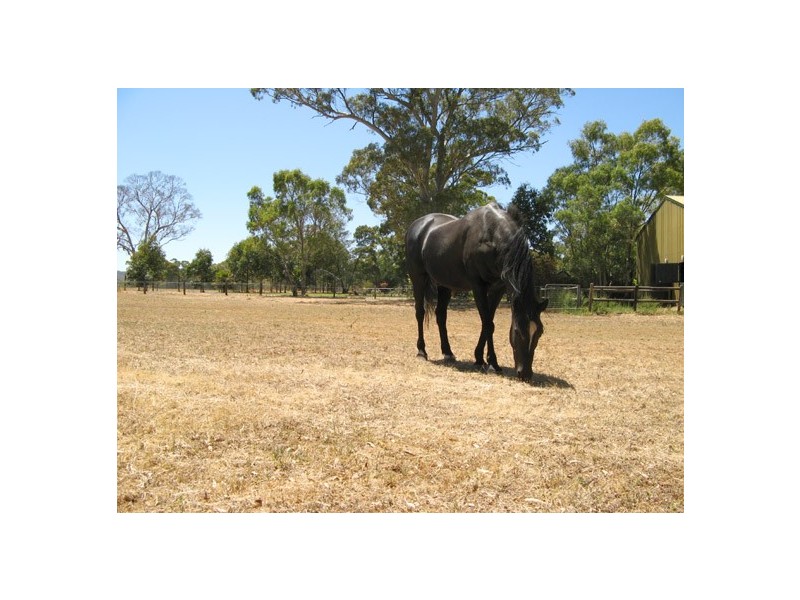 Lot 109 Battunga Road, Echunga SA 5153