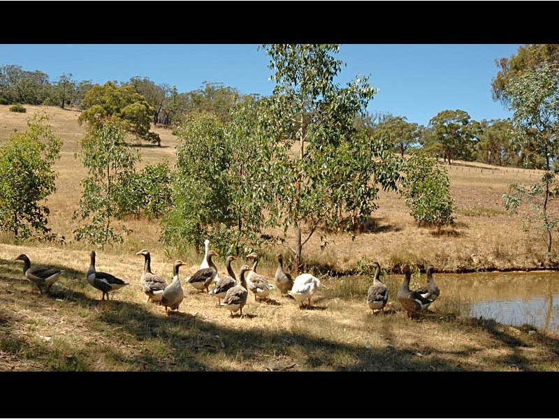 Lot 53 Onkaparinga Valley Road, Woodside SA 5244