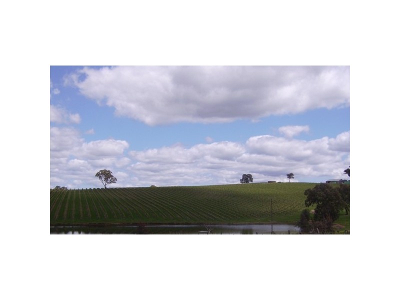 47 Willow View Road, Woodside SA 5244