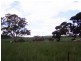 47 Willow View Road, Woodside SA 5244