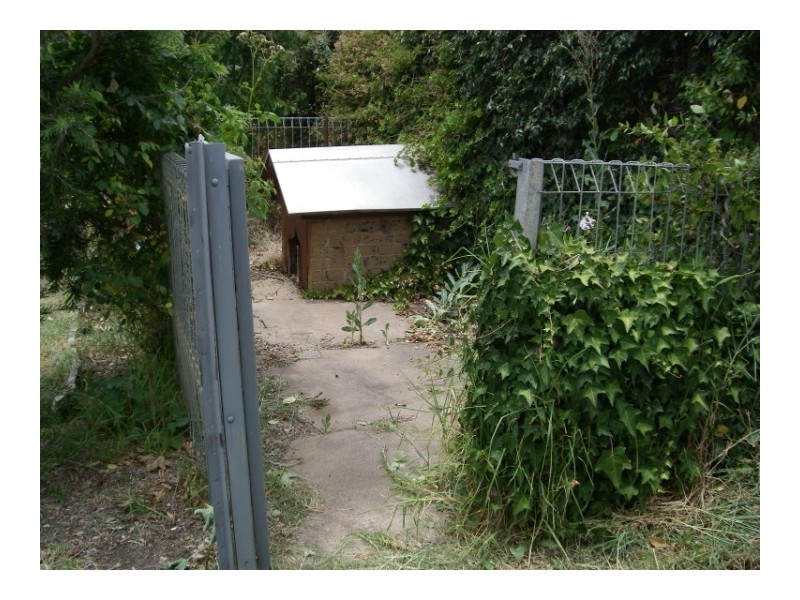 31 Eva Street, Williamstown SA 5351