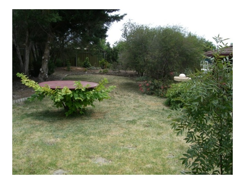 31 Eva Street, Williamstown SA 5351