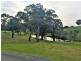 173 B Martins Rd, Oakbank SA 5243