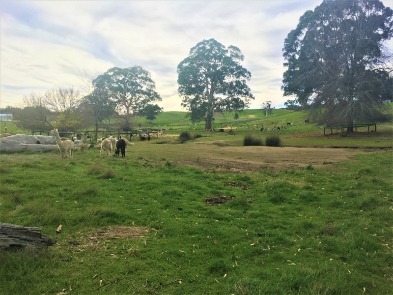 173 B Martins Rd, Oakbank SA 5243