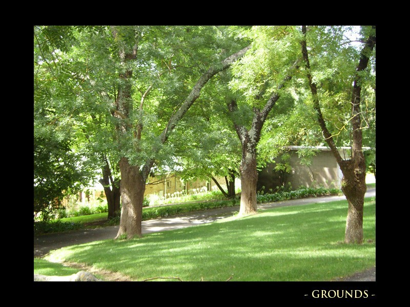 Lot 166 Beaumonts Road, Verdun SA 5245