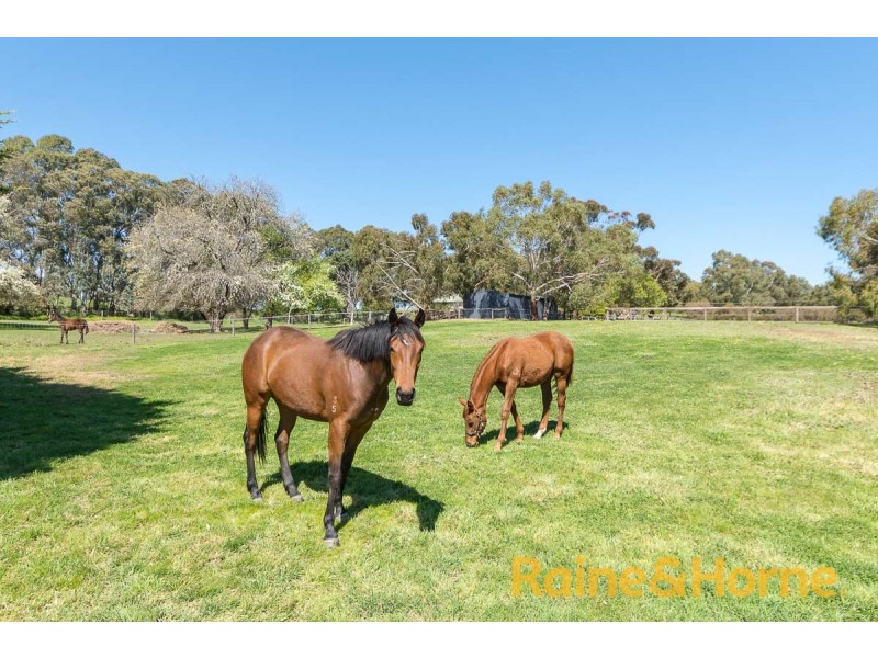 41 Banksia Road, Oakbank SA 5243