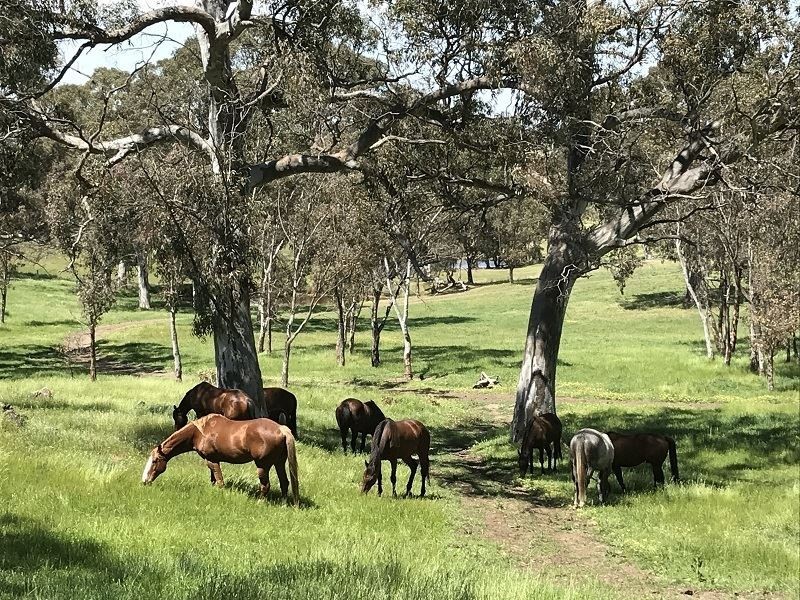 12 Jury Road, Dawesley SA 5252