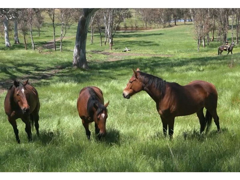 12 Jury Road, Dawesley SA 5252