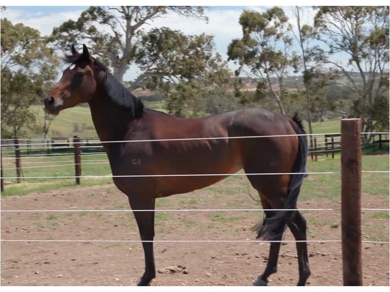 12 Jury Road, Dawesley SA 5252