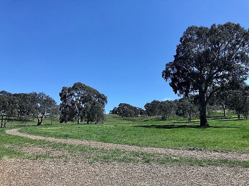 12 Jury Road, Dawesley SA 5252