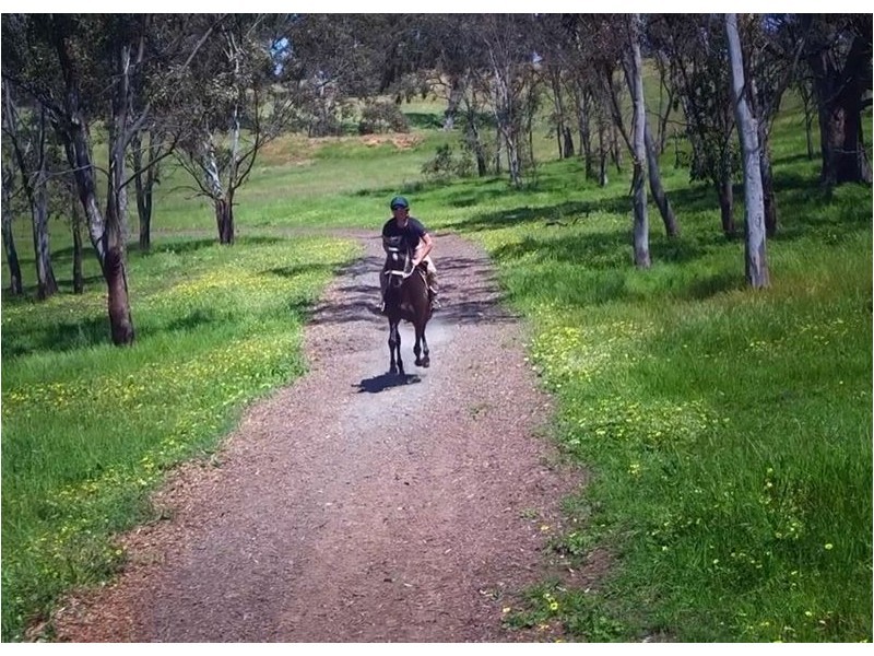 12 Jury Road, Dawesley SA 5252