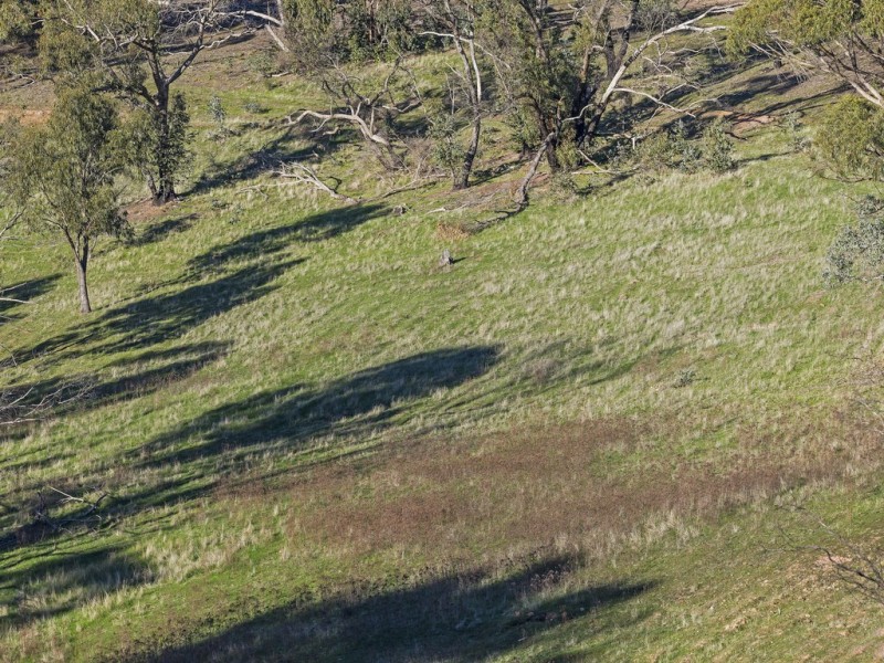 187 Hannaford Hump Rd, Sampson Flat SA 5114