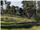 187 Hannaford Hump Rd, Sampson Flat SA 5114