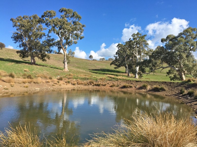 Section 1973 Jury Road, Brukunga SA 5252