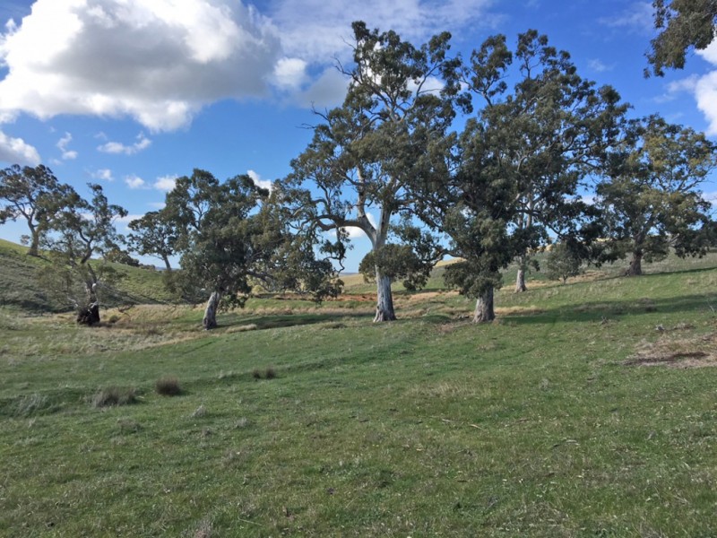 Section 1973 Jury Road, Brukunga SA 5252