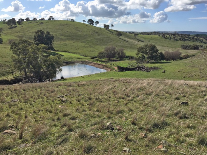 Section 1973 Jury Road, Brukunga SA 5252