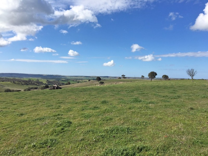 1973 Jury Road, Brukunga SA 5252