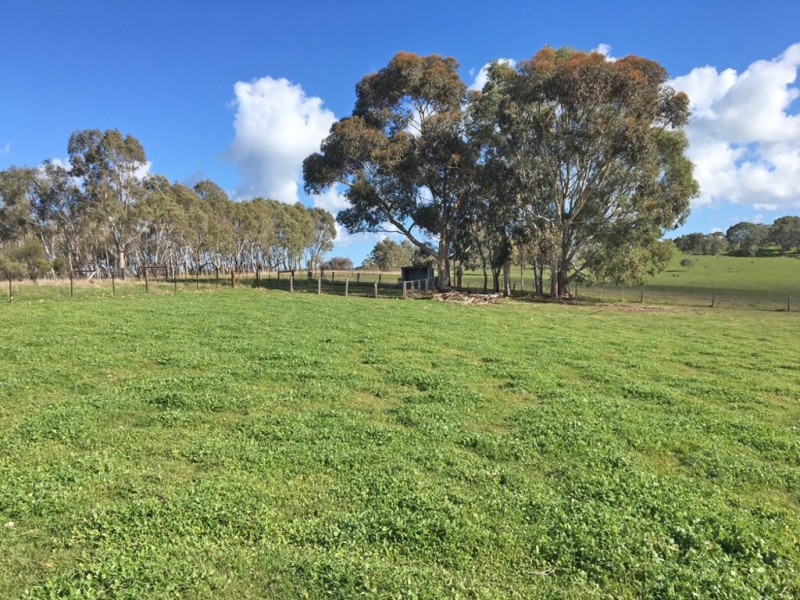 1973 Jury Road, Brukunga SA 5252