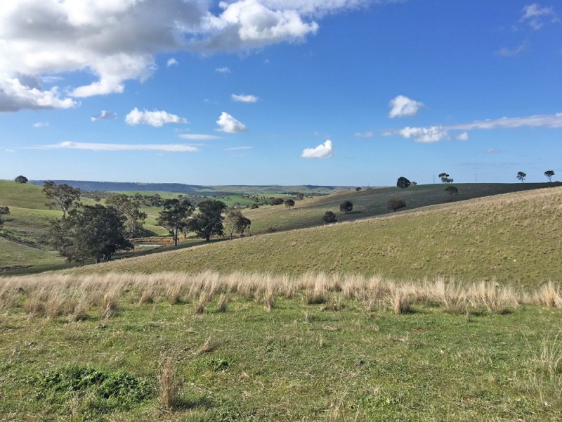 1973 Jury Road, Brukunga SA 5252